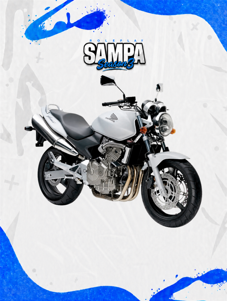 Honda Hornet (2008)