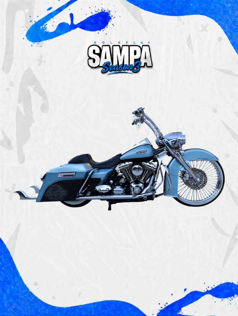 Custom Bike